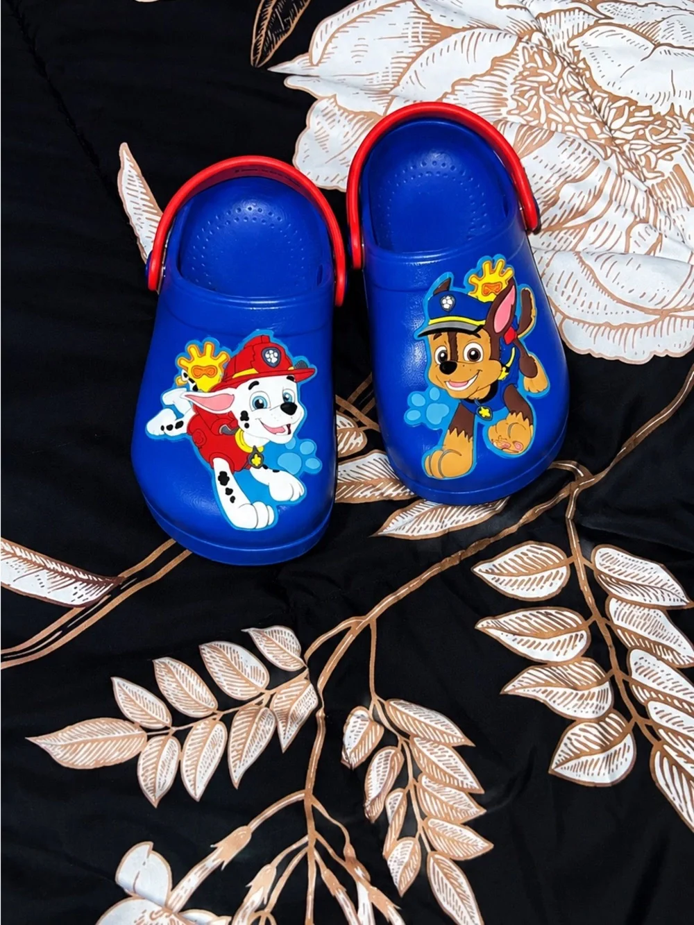 Kids Paw Patrol Character Crocs with Red Strap